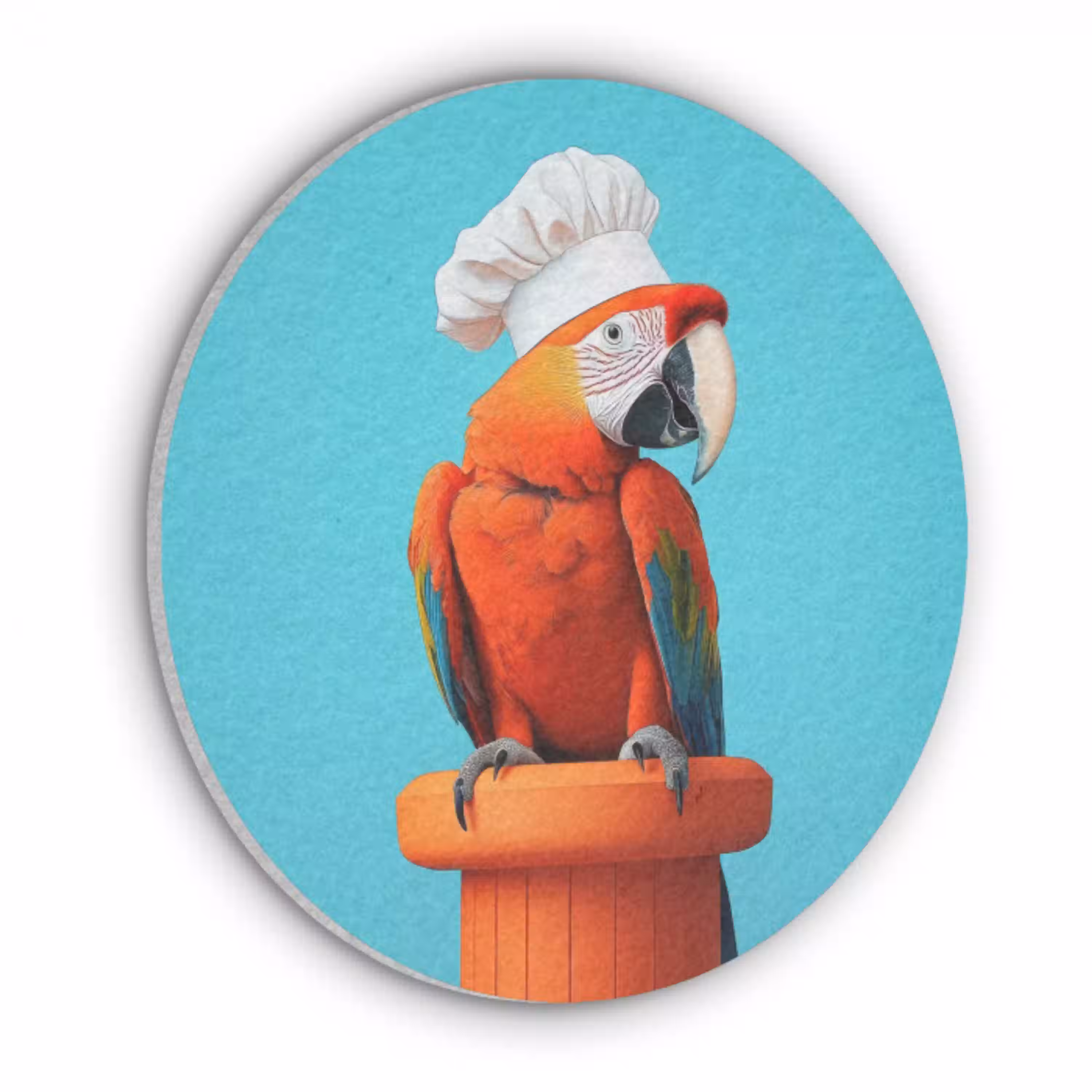 Ara - Koksmuts - Sokkel - Grappig Akoestische PET Vilt - Rond klein -3d