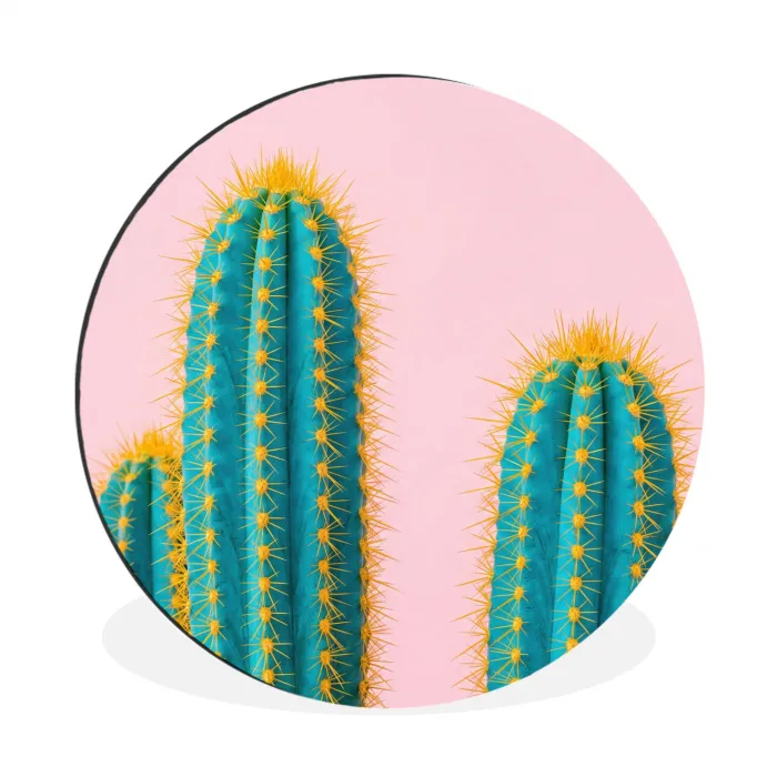 Cactussen - Modern - Pastel Wandcirkel aluminium klein -3d