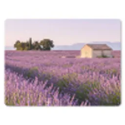 Lavendel - Landschap - Sereen - Paars muismat rubber klein -3d