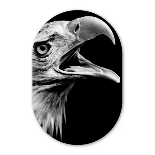 Adelaar - Portret - Roofvogels - Zwart - Wit - Vogel Wandcirkel Ovaal Forex klein -3d