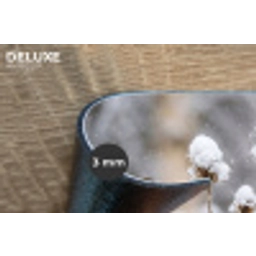 Roodborstje - Gedroogde bloem - Sneeuw - Winter - Vertederend Placemat vinyl groot -closeup