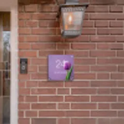 Paarse tulp - Klassiek Naambord Vierkant klein -sfeer7-XS