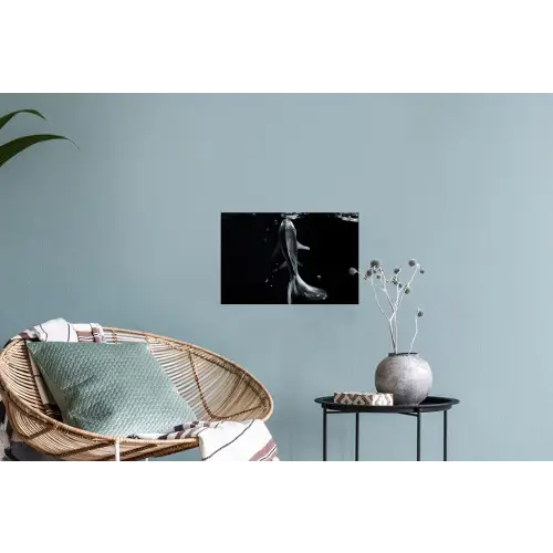 Koi - Vissen - Water - Zwart Muursticker klein -plant