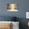 Winter - Abstract - Sneeuw - Natuur - Zon poster papier klein -sfeer2