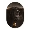 Schotse hooglander - Goud - Koebel - Hoorns - Dieren Wandcirkel Ovaal Forex klein -3d