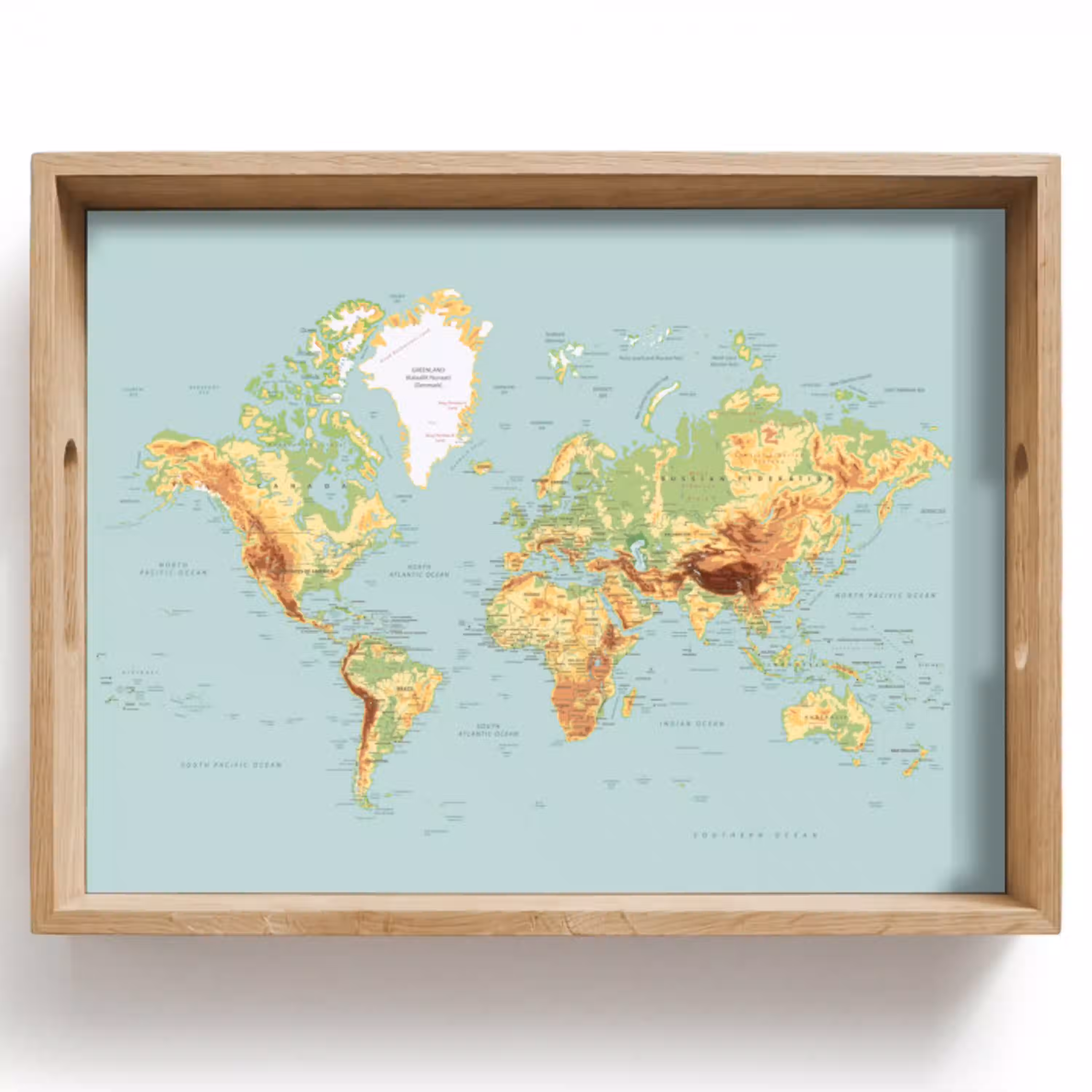 Wereldkaart - Realistisch - Blauw Dienblad Rechthoek middel -z3d_shopping