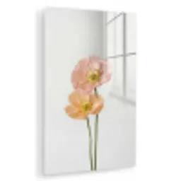 Papavers - Botanisch - Roze plexiglas 5mm klein -zzzproduct_nieuw