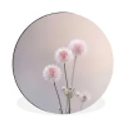 Bloemen - Bollen - Roze Wandcirkel aluminium klein -3d