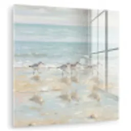 Vogels - Strand - Zee plexiglas 5mm klein -zzzproduct_nieuw