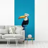Tucan - Sokkel - Vogel - Koksmuts fotobehang vinyl groot -woonkamer