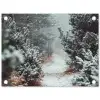 Bos - Winter - Bomen - Natuur - Pad - Sneeuw tuinposter los doek klein -3d