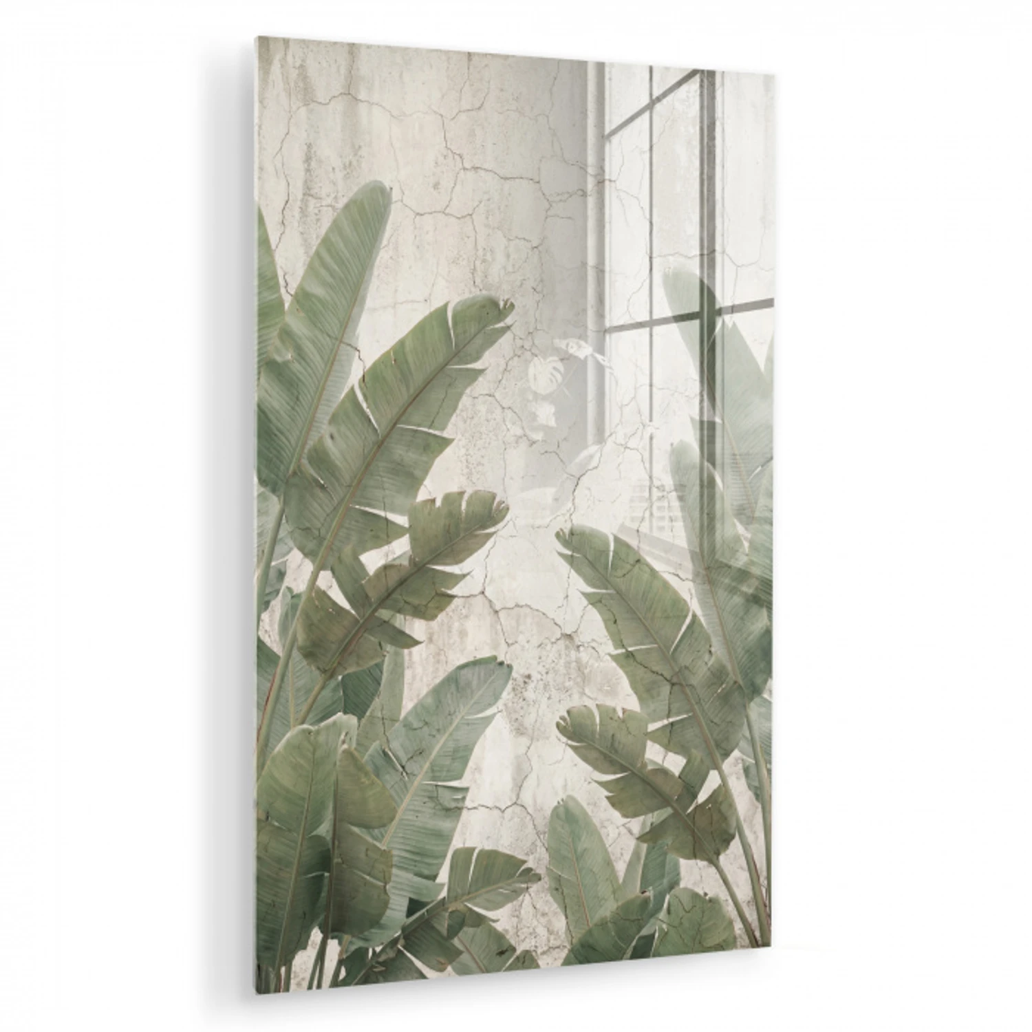 Bananenbladeren - Beton - Groen plexiglas 5mm klein -zzzproduct_nieuw