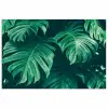Monstera - Bladeren - Planten - Jungle - Natuur poster papier klein -3d