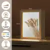 Graan - Geel - Wit - Stilleven Light Box met kabel (Tafellamp) klein -USP_NL
