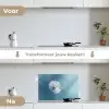 Paardenbloem - Wind - Blauw keuken achterwand spatscherm klein -voor_na_NL