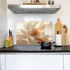 Close up - Pioenroos - Wit Inductie beschemer met haakjes klein -sfeer2