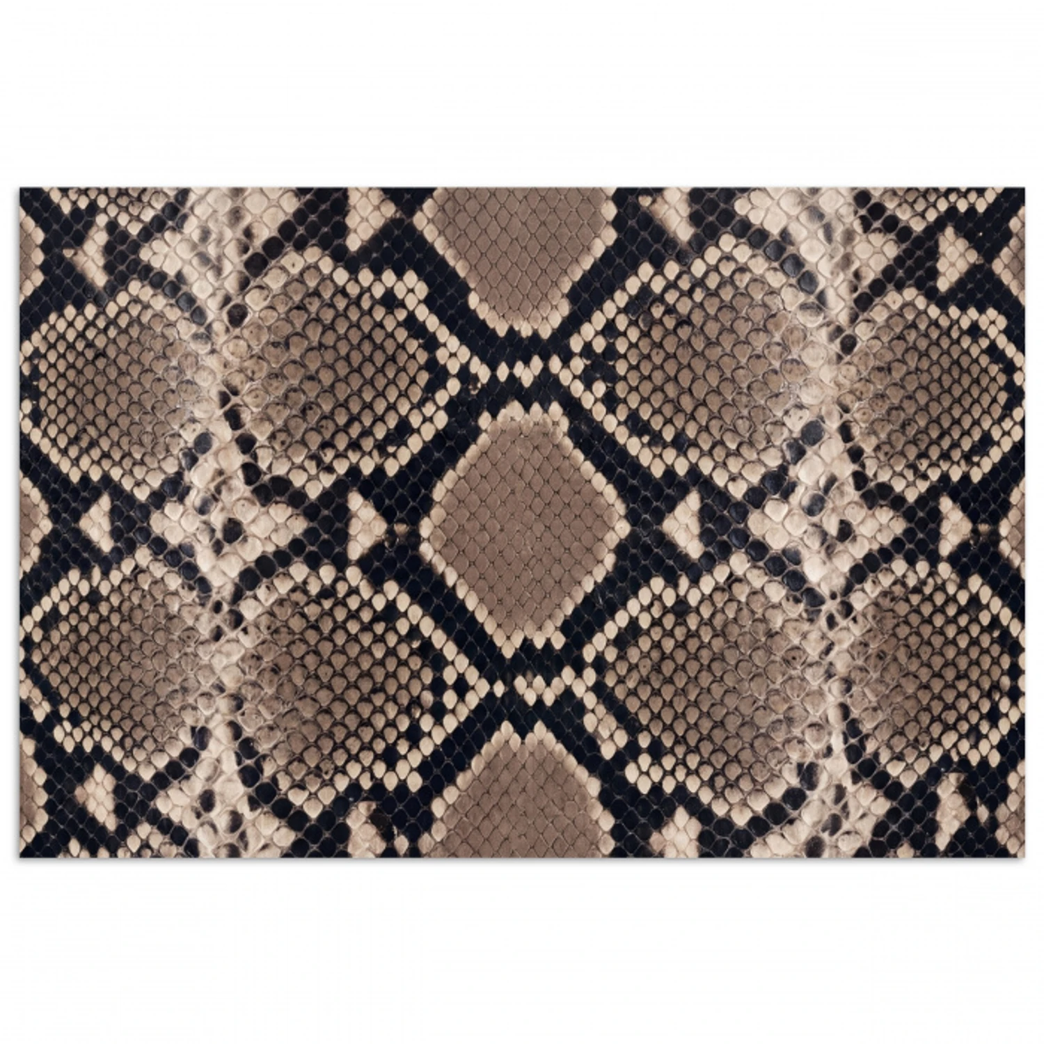 Slangenprint - Python - Bruin poster papier klein -3d