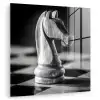 Paard - Hout - Schaalbord - Zwart plexiglas 5mm klein -zzzproduct_nieuw