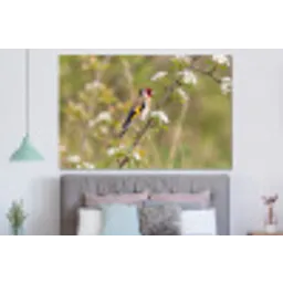 Putter - Bloesem - Lente - Natuur - Kleurrijk forex 5mm xxl -slaapkamer