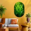 Grassprieten - Lichtinval - Groen Wandcirkel Ovaal Glas middel -sfeer4