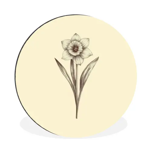Zwart - Narcis - Illustratie Wandcirkel aluminium klein -3d