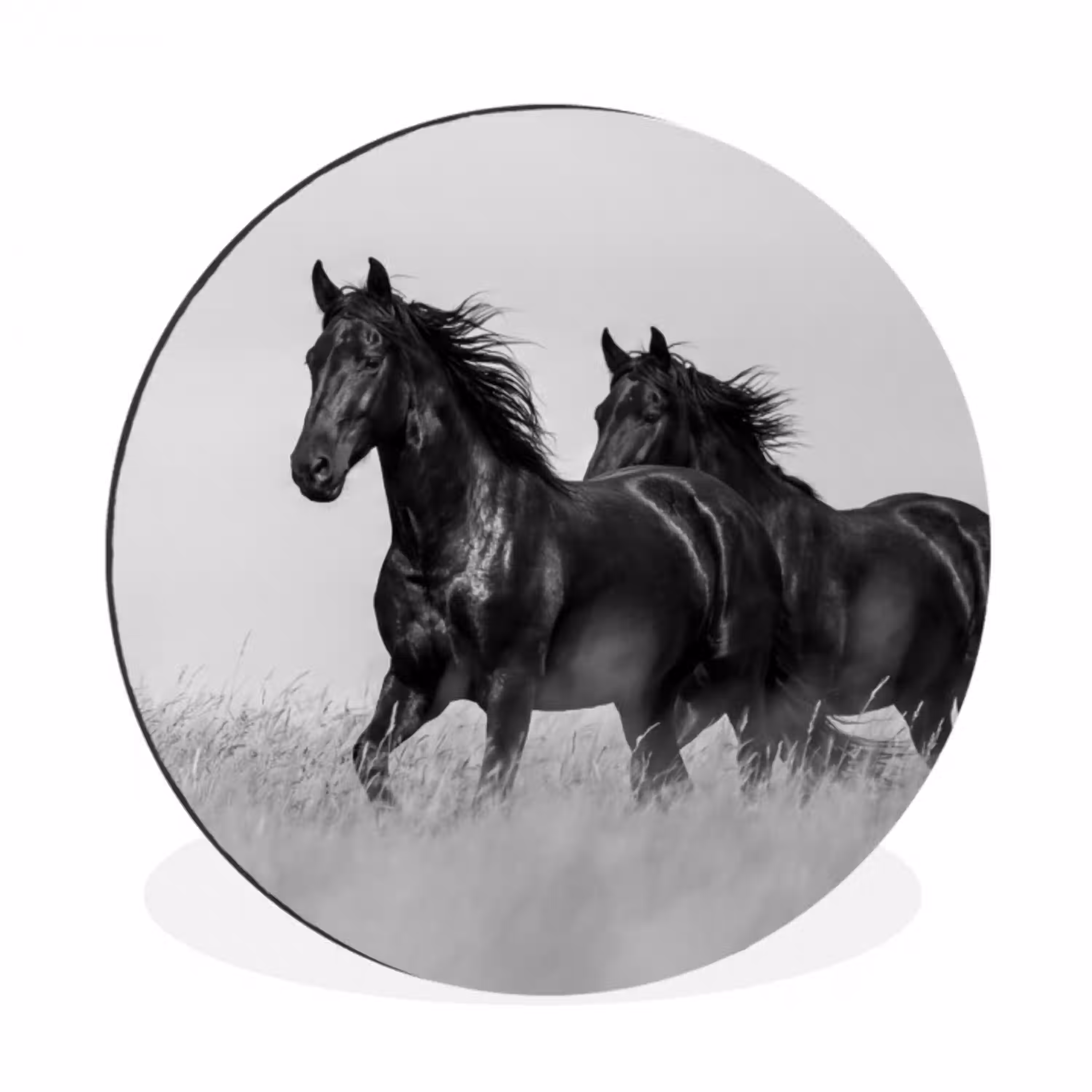 Paarden - Gras - Zwart - Wit Wandcirkel aluminium klein -3d