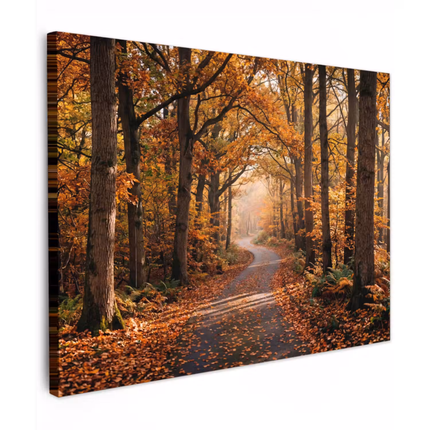 Canvas Print - Forest path - Autumn forest - Leaves - Orange - Nostalgic