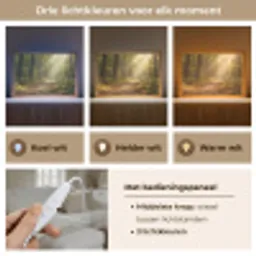 Zonlicht - Bospad - Bomen Light Box met kabel (Tafellamp) klein -USP_lichtkleurNL