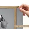 Teckel - Bier - Glas - Bril Light Box met batterij (Wandlamp) middel -USP_websiteprintNL