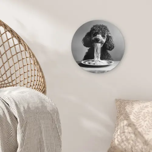 Poedel - Hond - Zwart - Wit - Schattig - Pasta Wandcirkel plexiglas klein -sfeer5