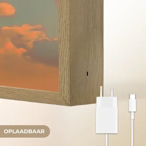 Vrouw - Kroon - Tomaat - Bascilicum - Zonnebril Light Box met batterij (Wandlamp) middel -USP_websiteoplaadbaarNL