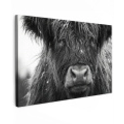 Schotse hooglander - Zwart - Wit - Sneeuwvlokken Tuinposter op houten frame 2 cm dik klein -3d