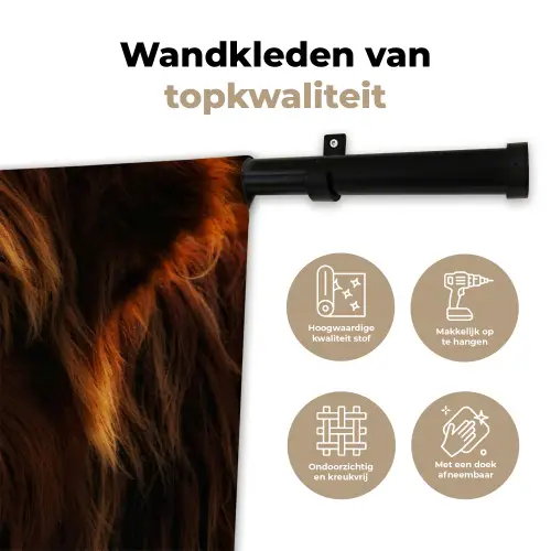 Schotse Hooglander - Koe - Portret - Dieren Wandkleed katoen klein -sfeer2