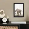 Baby olifant - Dieren - Olifant - Kinderen - Meiden - Jongens fotolijst zwart zonder passe partout klein -sfeer1