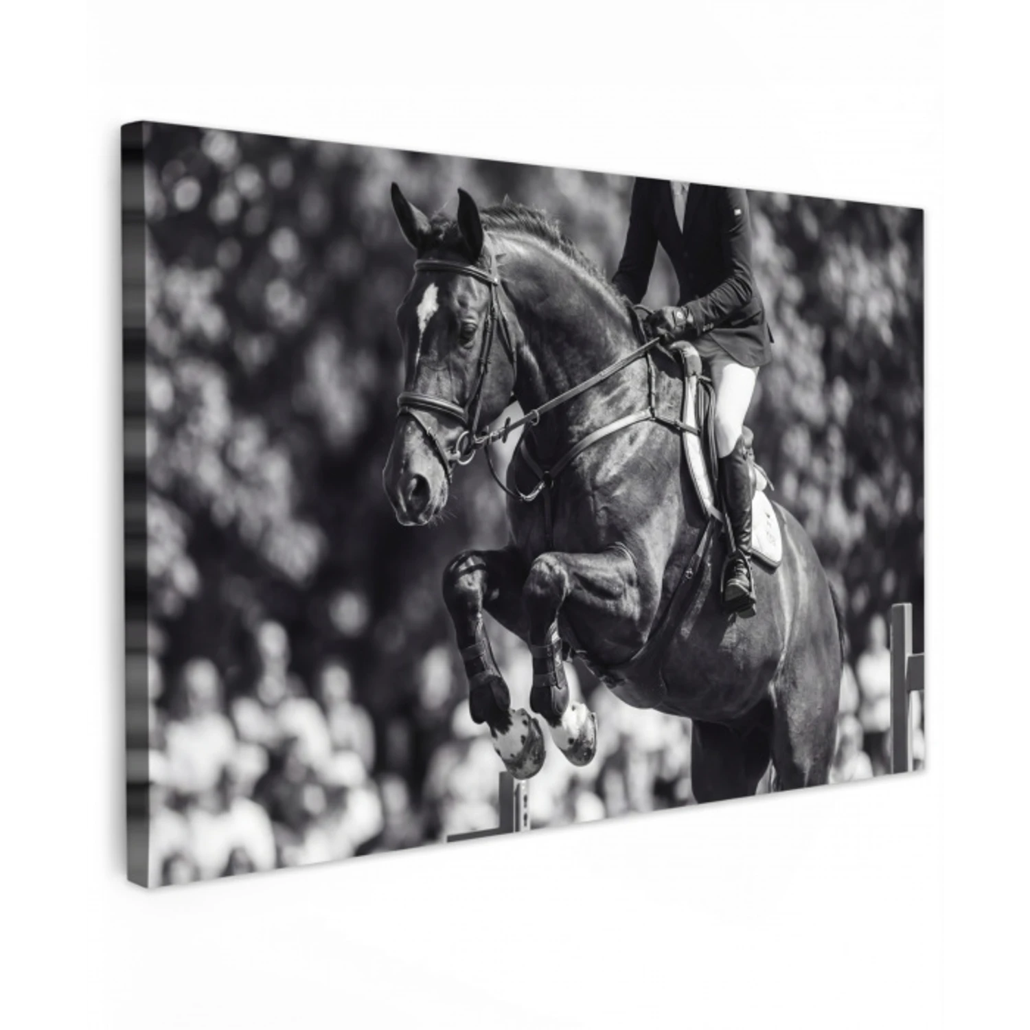 Springen - Paard - Zwart - Wit Tuinposter op houten frame 2 cm dik klein -3d