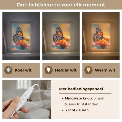 Vlinder - Dieren - Kleurrijk - Natuur - Bloemen Light Box met kabel (Tafellamp) klein -USP_lichtkleurNL