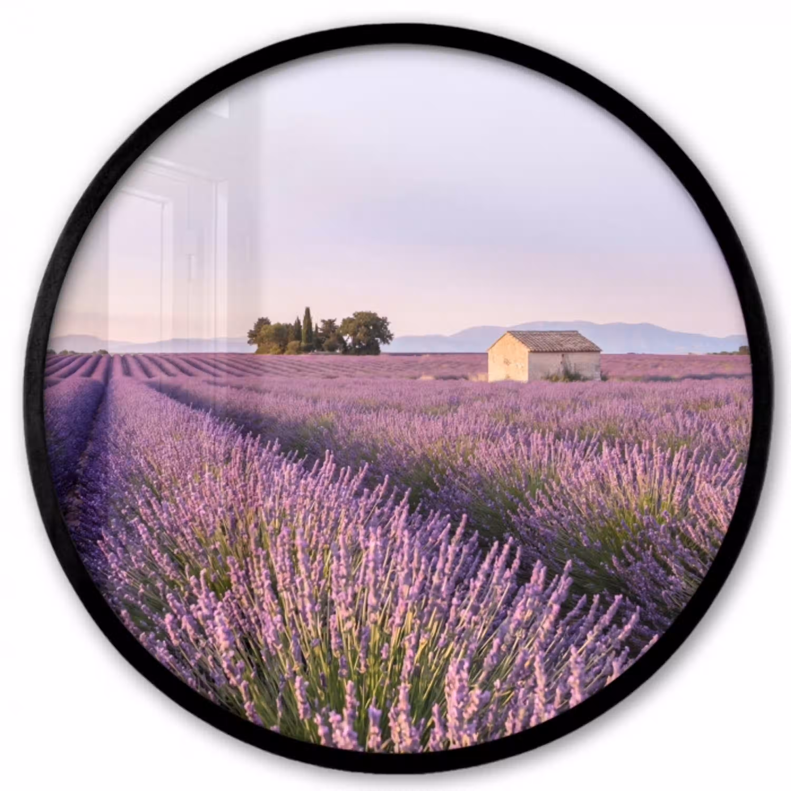Lavendel - Landschap - Sereen - Paars Fotolijst rond zonder passe partout klein -3d