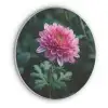 Blad - Chrysant - Roze - Schaduw Akoestische PET Vilt - Rond klein -3d