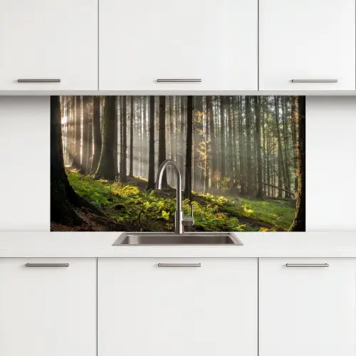 Zon - Takken - Bomen - Bos - Natuur keuken achterwand 2 middel -3d