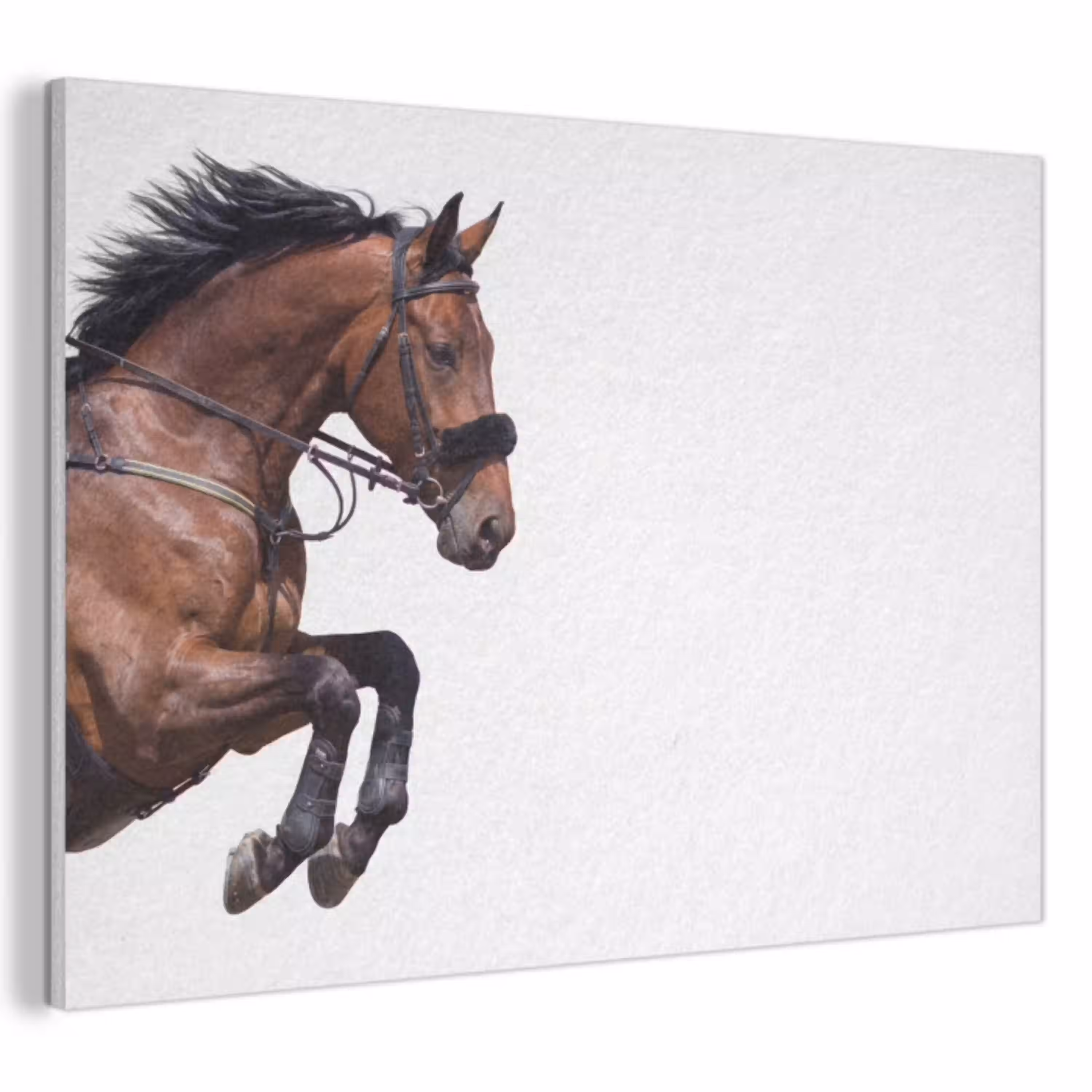 Paard - Springen - Modern PET vilt klein -3d