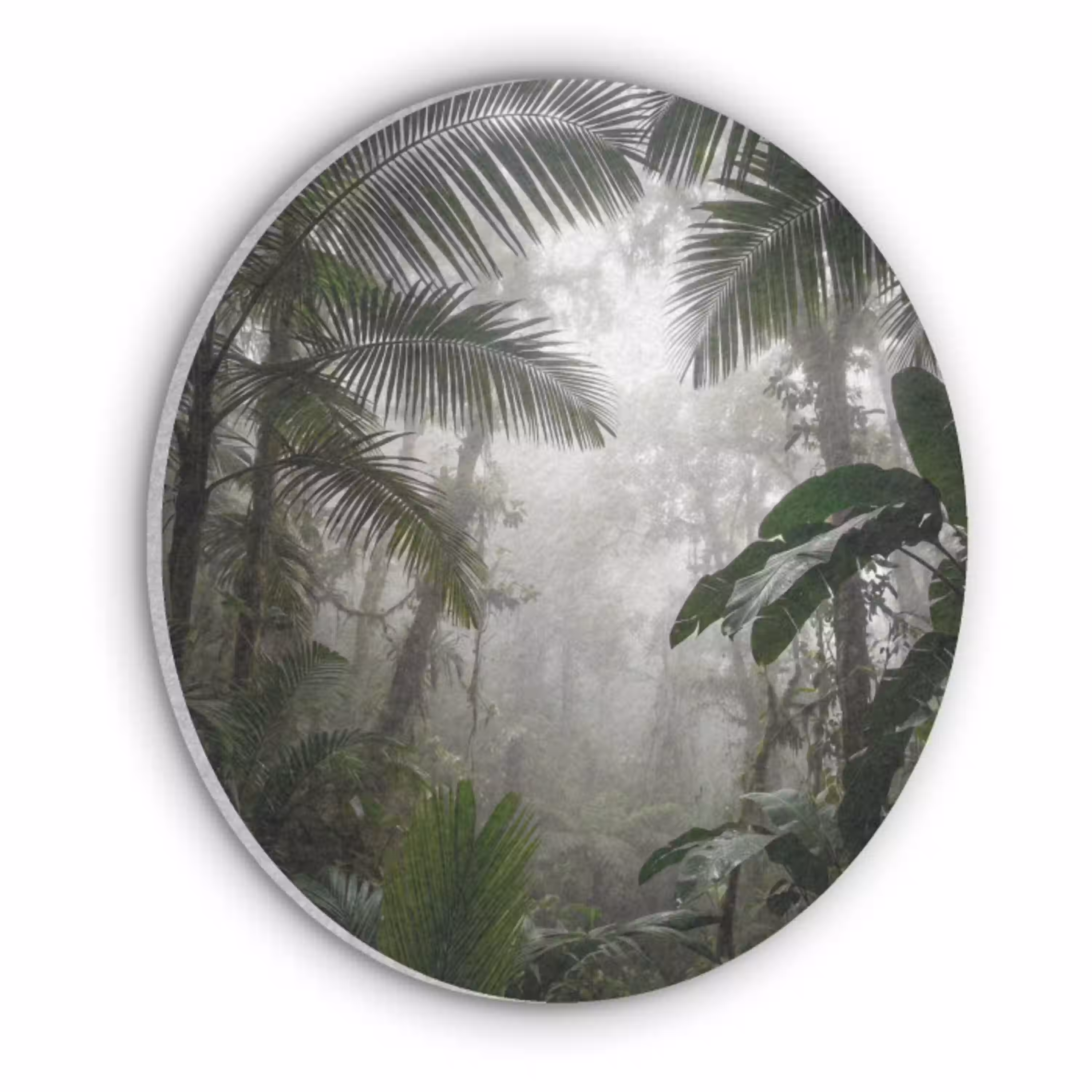 Natuur - Jungle - Mist - Groen - Bladeren Akoestische PET Vilt - Rond klein -3d