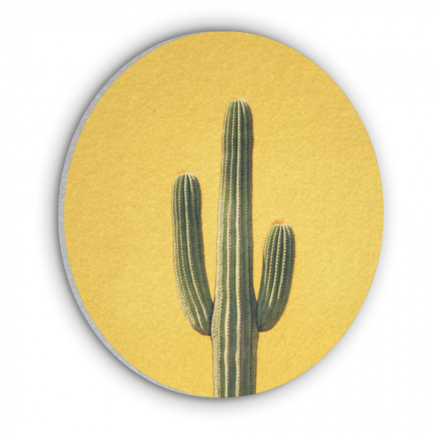 Cactus - Groen - Minimalistisch Akoestische PET Vilt - Rond klein -3d