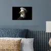 Arend -Amerika - Koksmuts - Vogel - Stoer poster papier klein -sfeer2