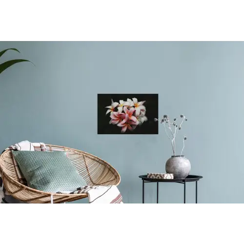Bloemen - Roze - Zwart - Flora - Botanisch Muursticker klein -plant