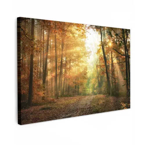 Herfstbos in gouden zonlicht Tuinposter op houten frame 2 cm dik klein -3d