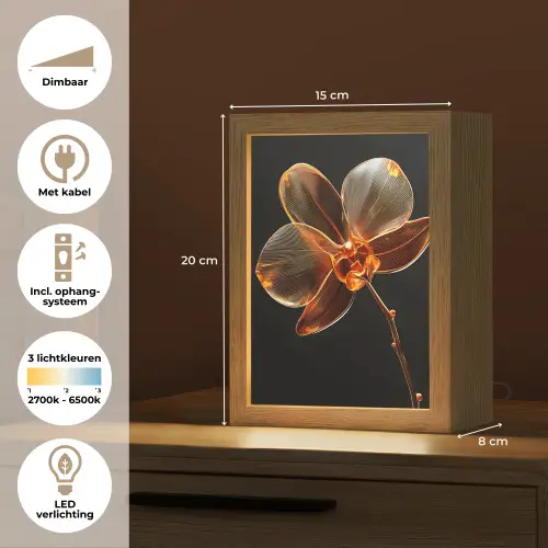 Orchidee - Doorzichtig - Bloem Light Box met kabel (Tafellamp) klein -USP_NL