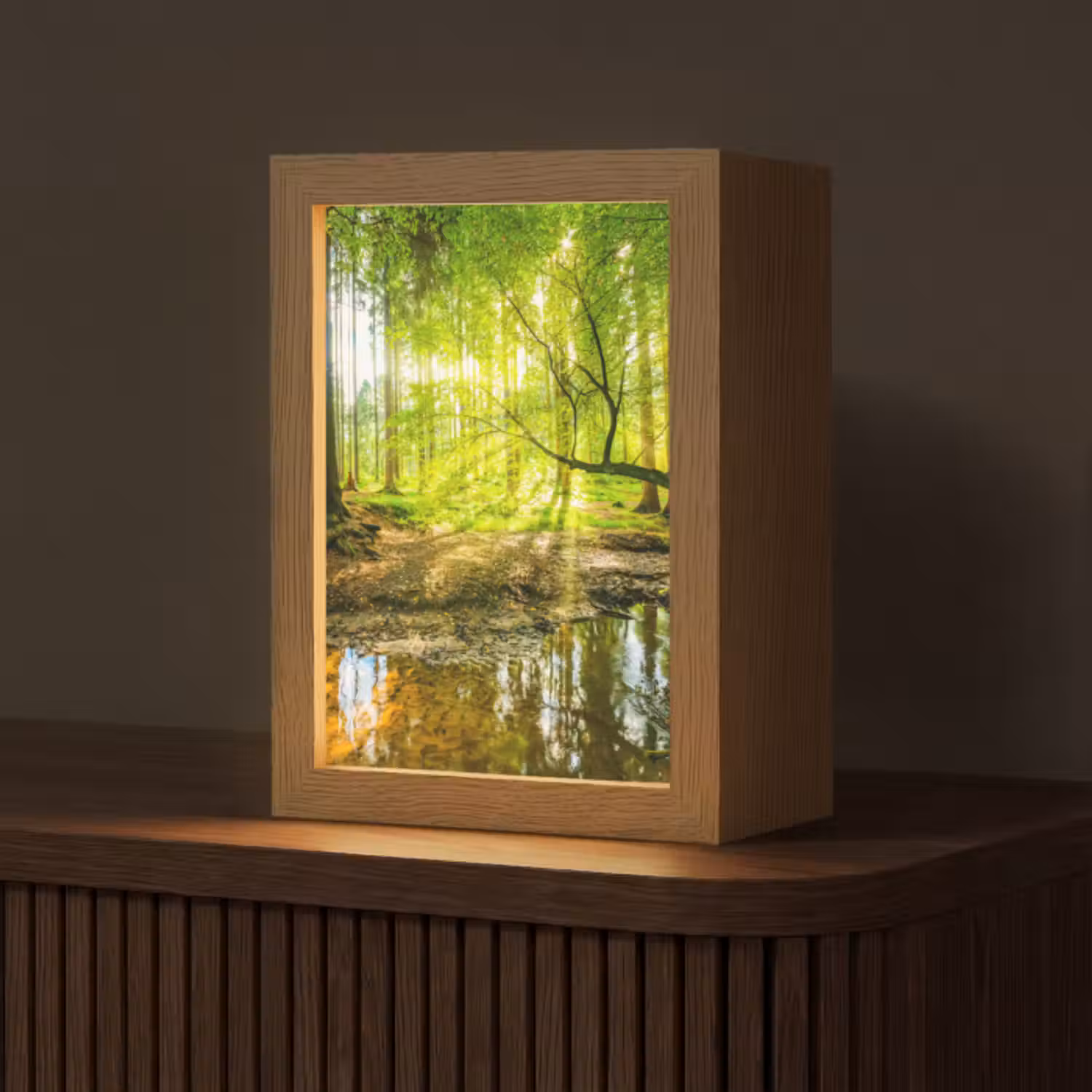 Tafellamp - Bos - Landschap - Water - Bomen - Zon - Groen - Natuur
