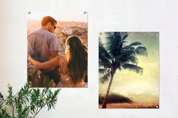 Tuinposters met koppel en palmboom