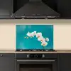 Orchidee - Bloemen - Plant - Wit - Paars keuken achterwand spatscherm klein -sfeer1