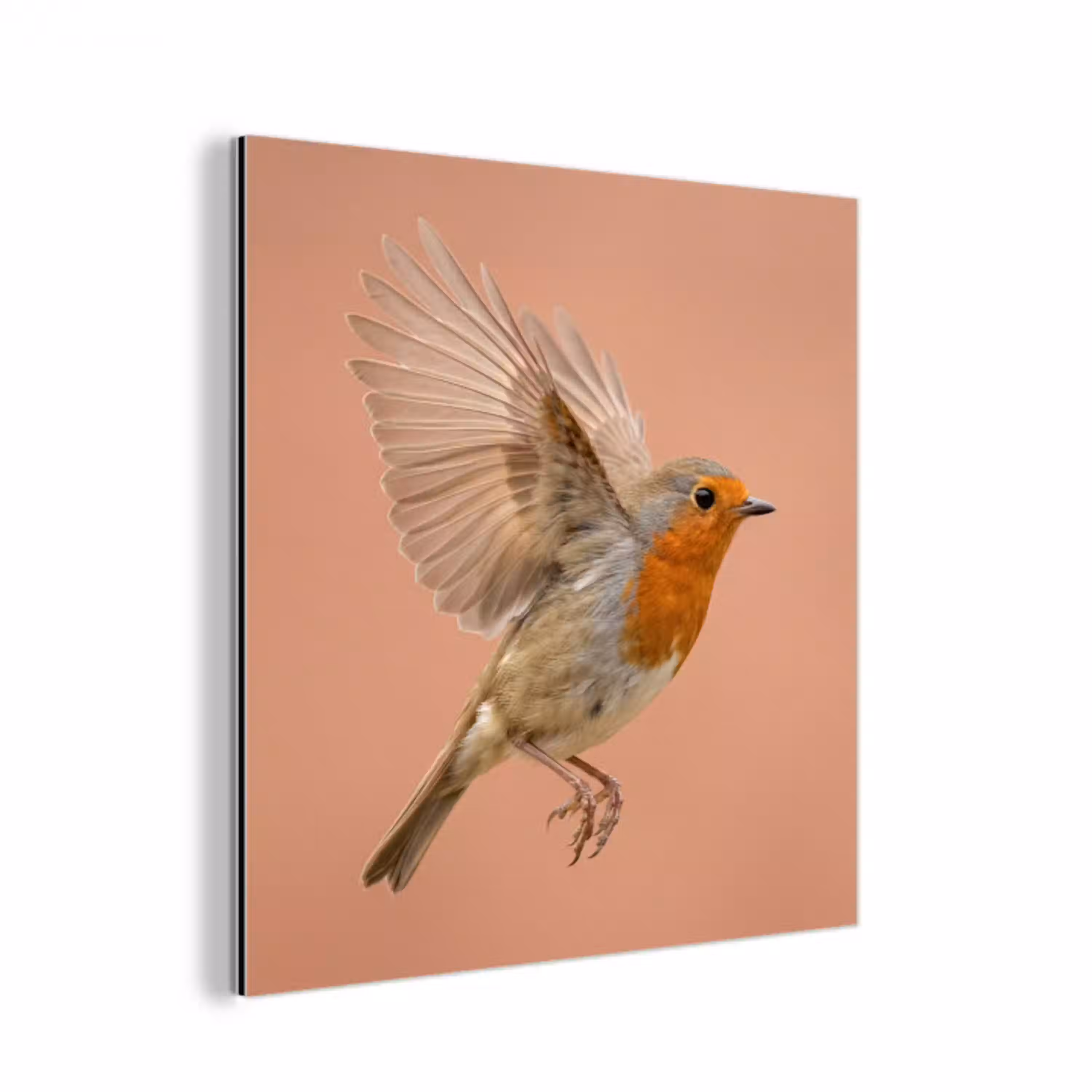 Roodborst - Natuur - Roze aluminium wit klein -3d